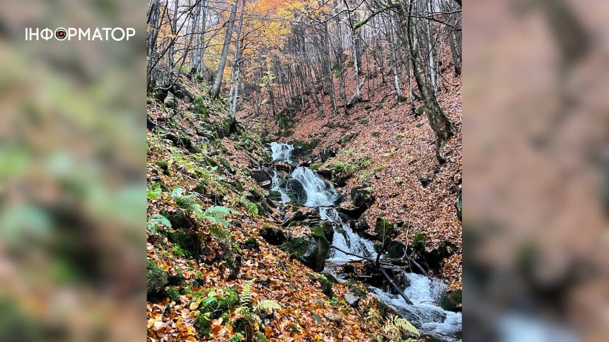 Як осінь у горах поступилася зимі: фоторепортаж з Карпат 7