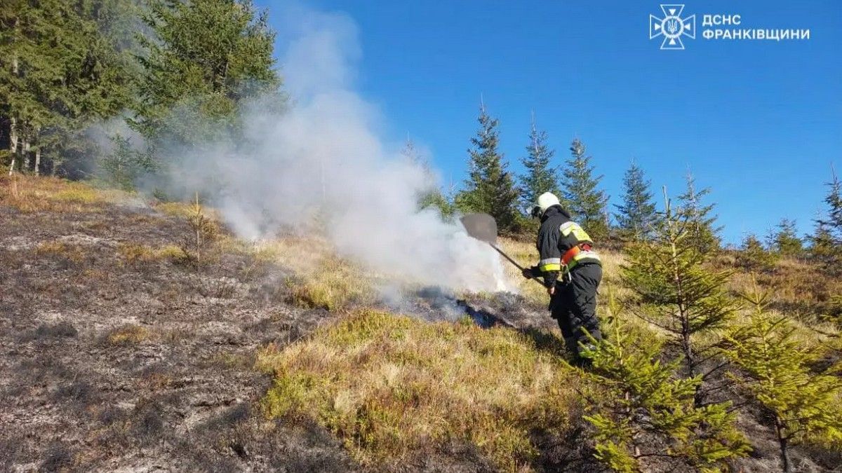 горіла суха трава