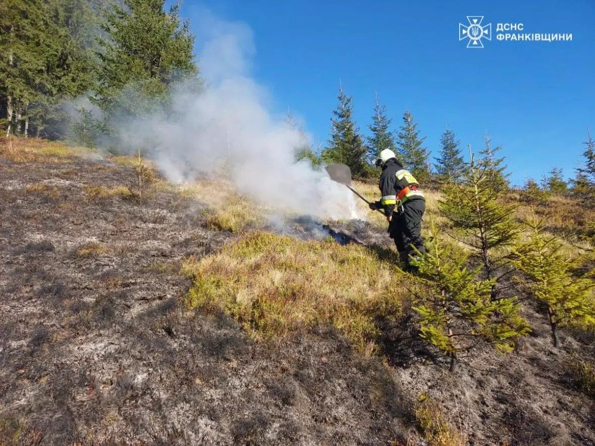 В горах на Верховинщині ліквідували пожежу 1