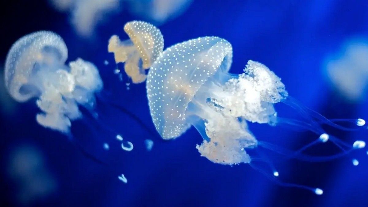 Цей день в календарі: свята, іменини, прикмети 3 листопада