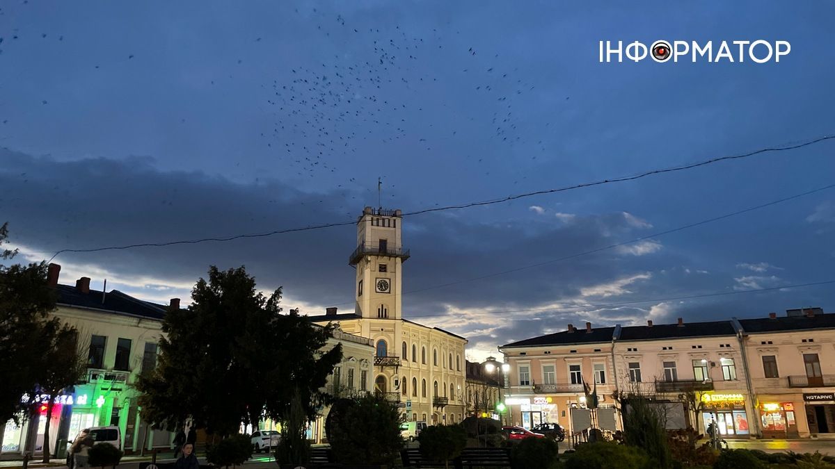 шукаю роботу в коломиї