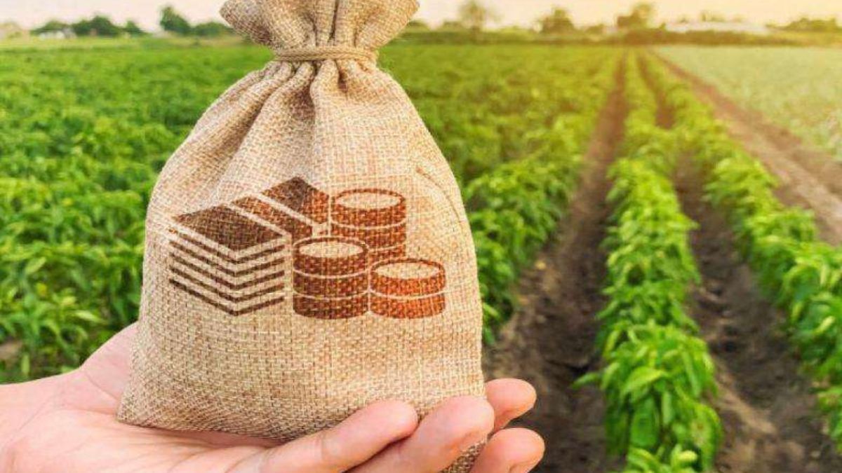 Аграрії Прикарпаття отримали понад 1,2 млрд гривень на розвиток бізнесу