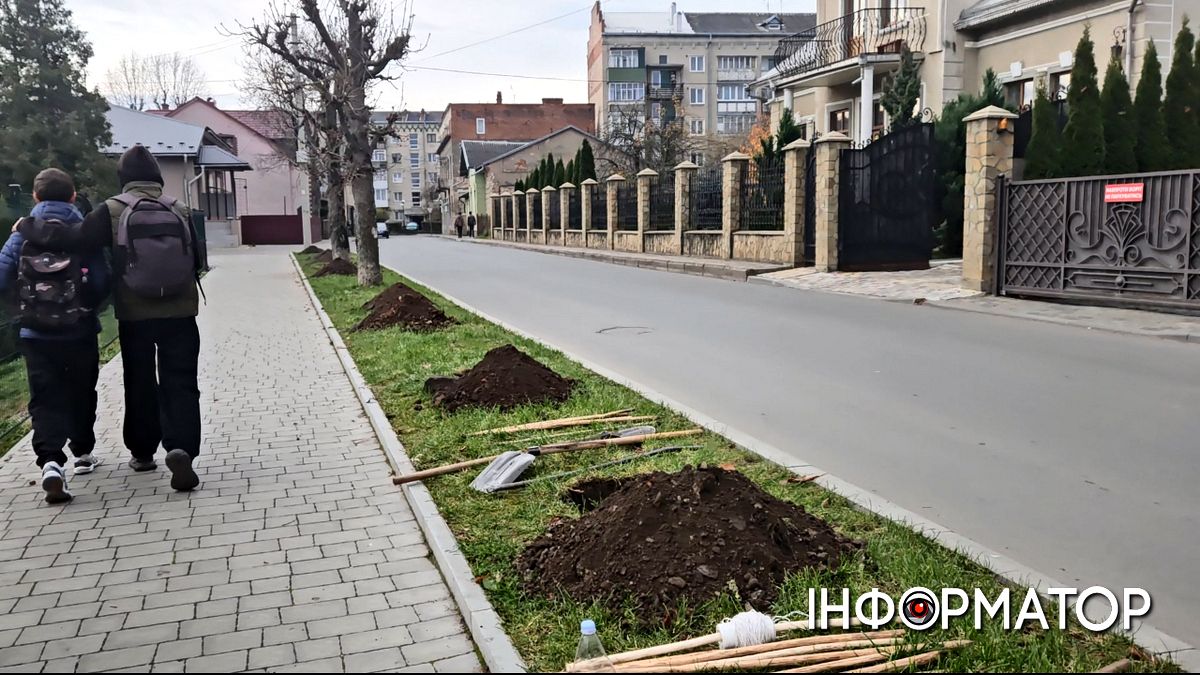 На вул. Кобилянської коломийські озенювачі висадили 19 дерев 1