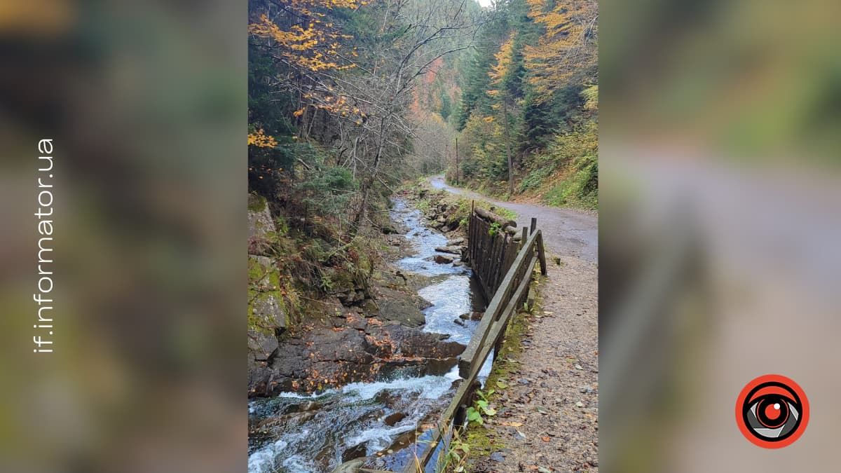Подих гір і голос води: фотоподорож до Женецького урочища 6