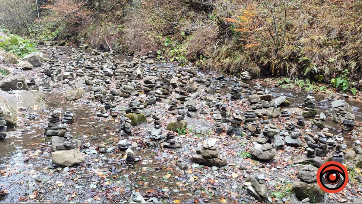 Подих гір і голос води: фотоподорож до Женецького урочища 12