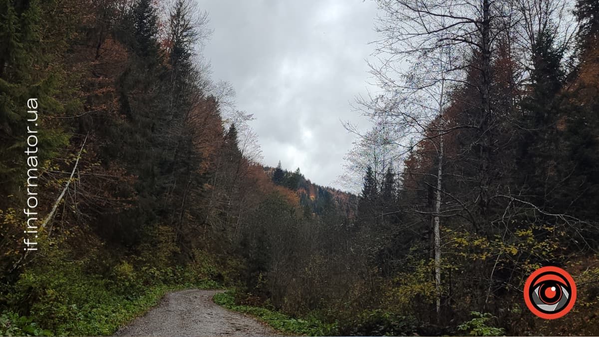 Подих гір і голос води: фотоподорож до Женецького урочища 14