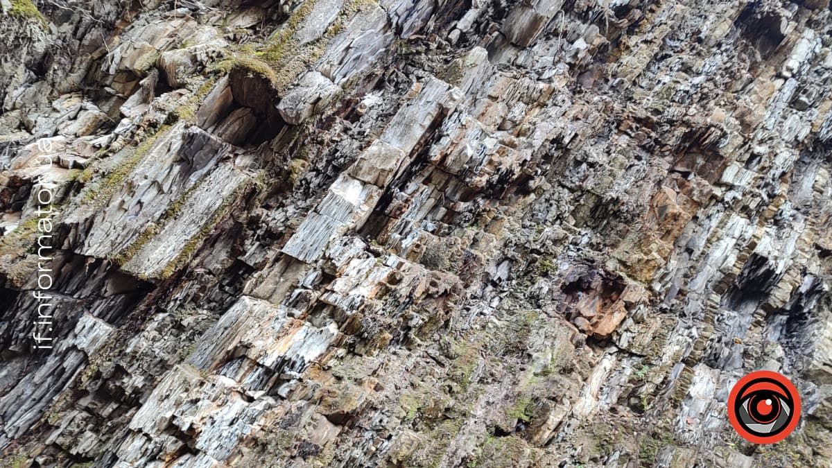 Подих гір і голос води: фотоподорож до Женецького урочища 7