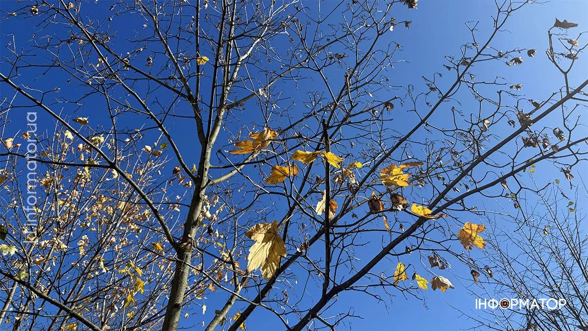 Погода в Коломиї 7 листопада