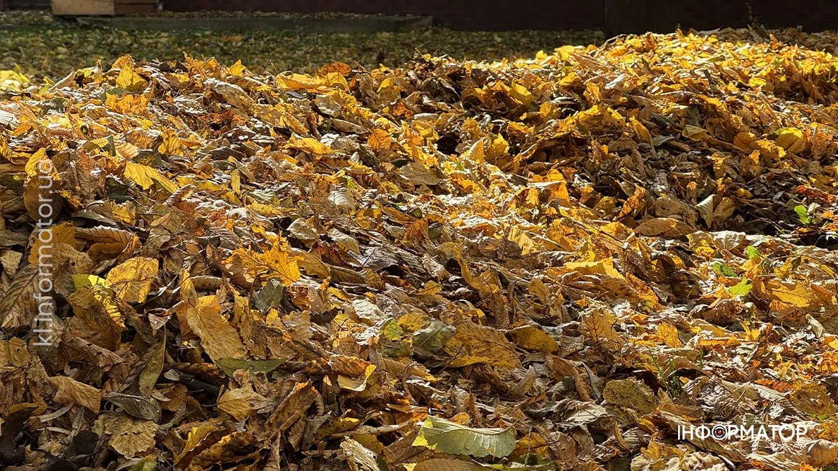 Погода в Коломиї 8 листопада