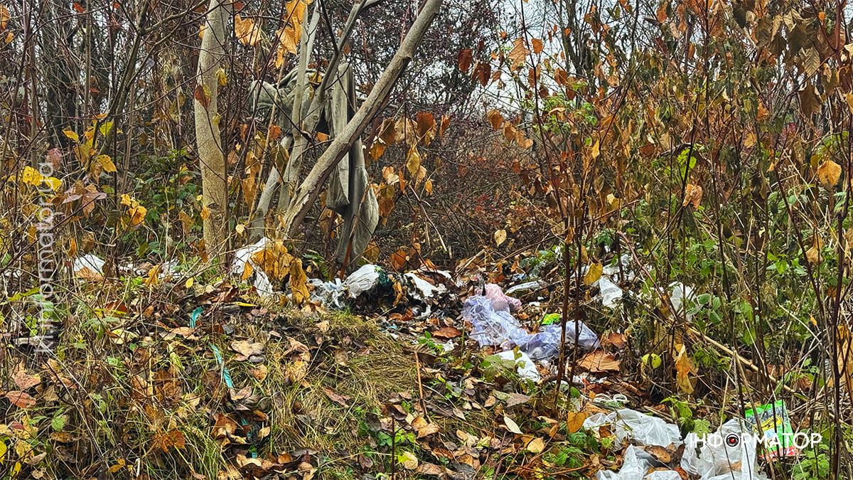 Військовий з Коломиї бореться зі стихійним сміттєзвалищем біля свого дому та нарікає на владу 1