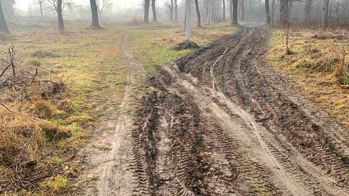 Військовий з Коломиї бореться зі стихійним сміттєзвалищем біля свого дому та нарікає на владу 4