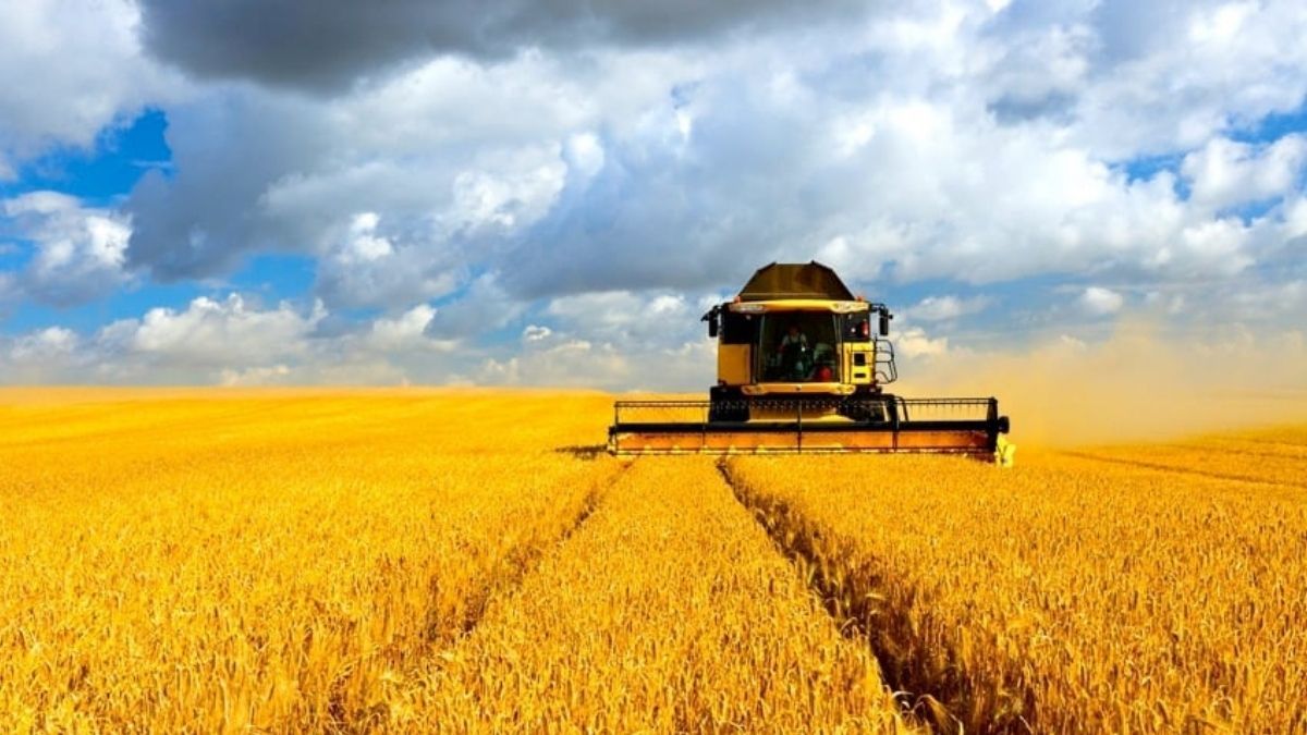 Аграрії Прикарпаття завершили посів озимини та активно збирають цьогорічний урожай