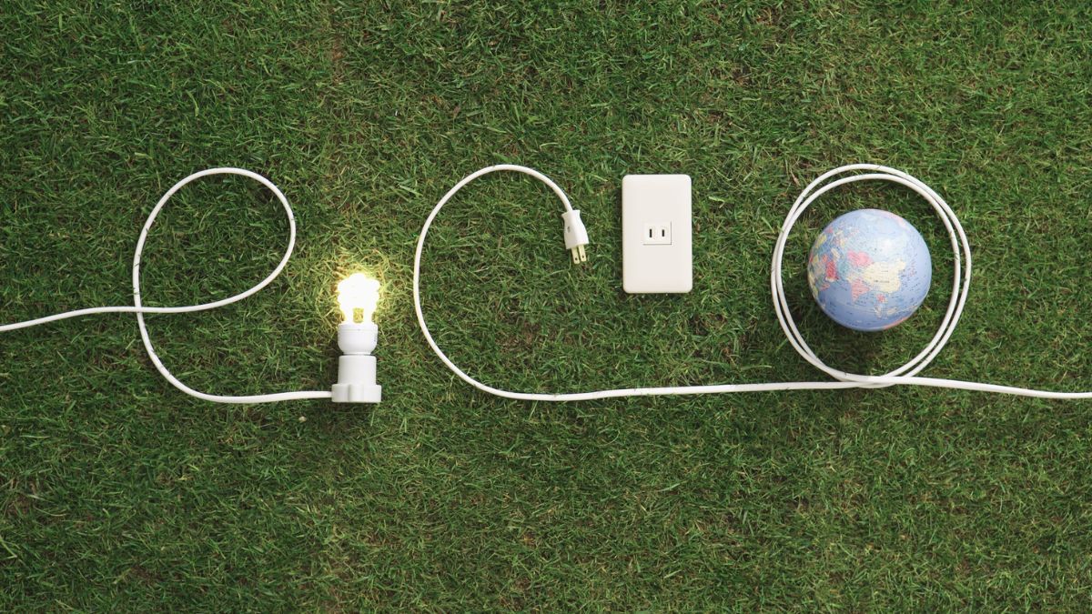 Цей день в календарі: свята, іменини, прикмети 11 листопада