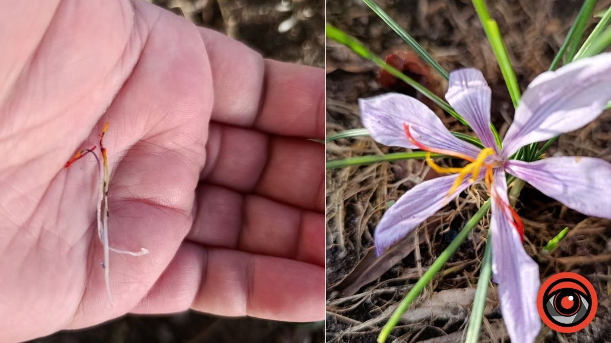 Фото: Інформатор Калуш Фото: Інформатор Калуш