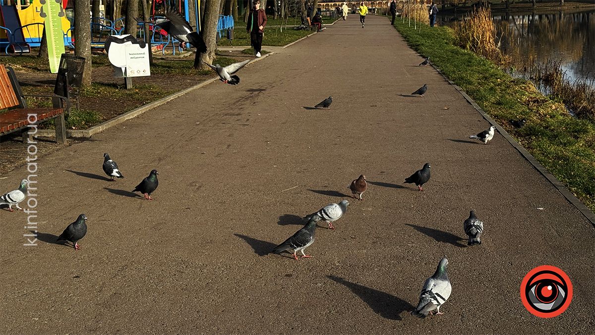 Тихий ранок: фоторепортаж з озера ім. Руфа наприкінці осені 19