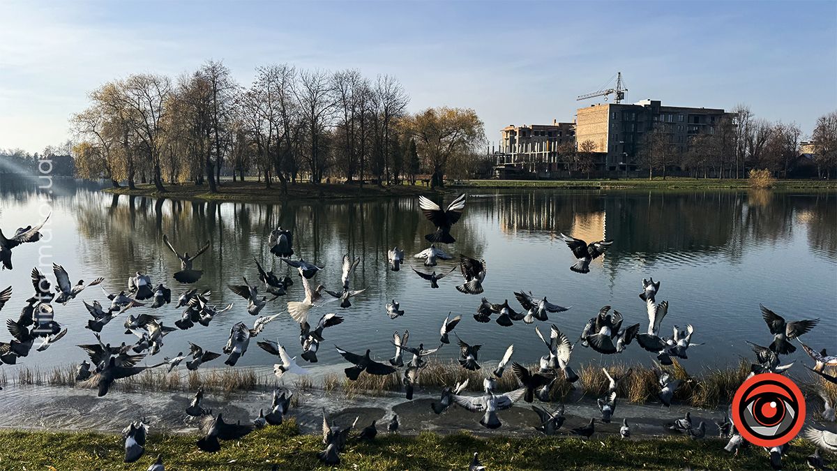 Тихий ранок: фоторепортаж з озера ім. Руфа наприкінці осені 21