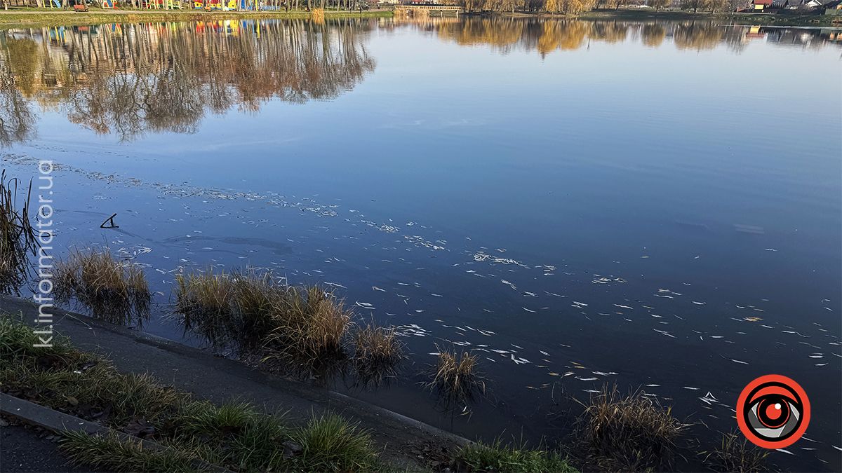 Тихий ранок: фоторепортаж з озера ім. Руфа наприкінці осені 22