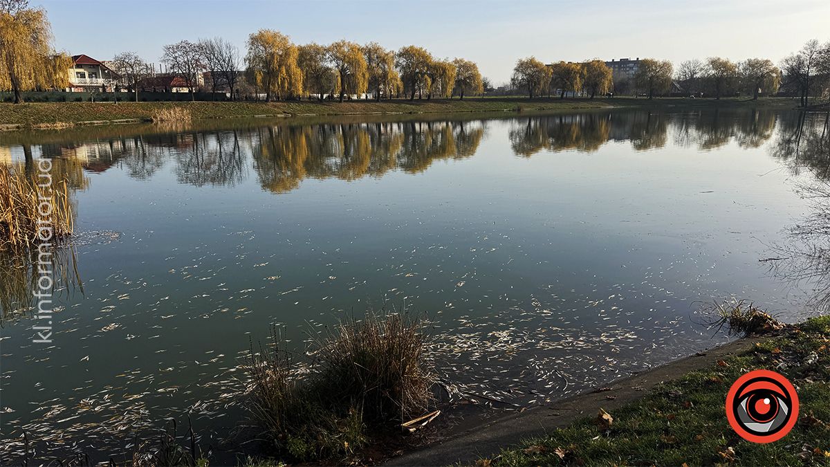 Тихий ранок: фоторепортаж з озера ім. Руфа наприкінці осені 12