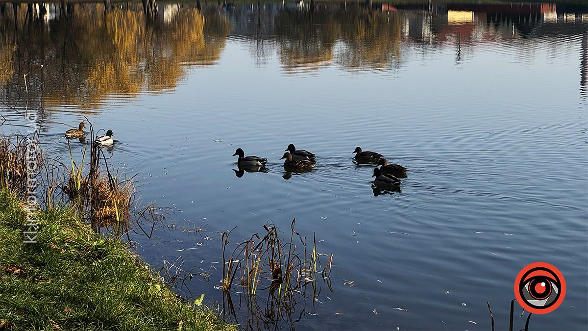 Тихий ранок: фоторепортаж з озера ім. Руфа наприкінці осені 2
