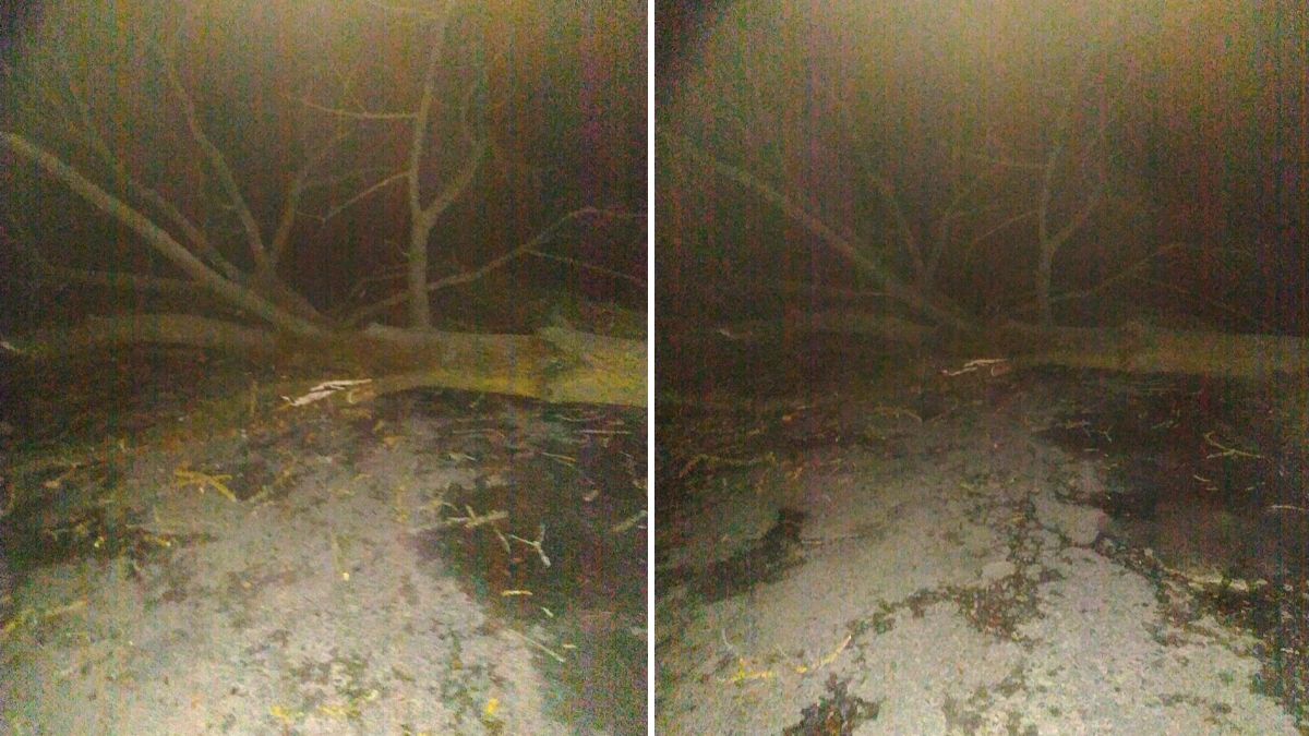 Рятувальники ліквідували наслідки негоди на Коломийщині 1