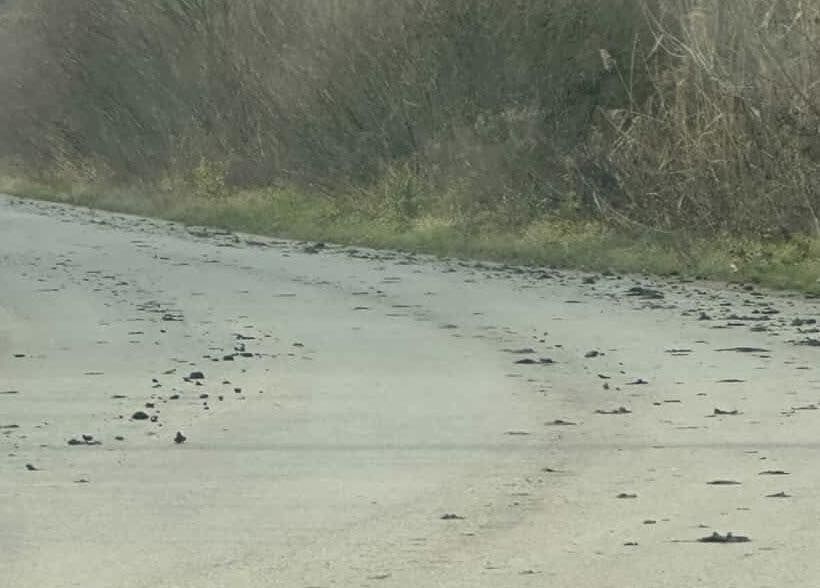 Забруднення дороги Забруднення дороги