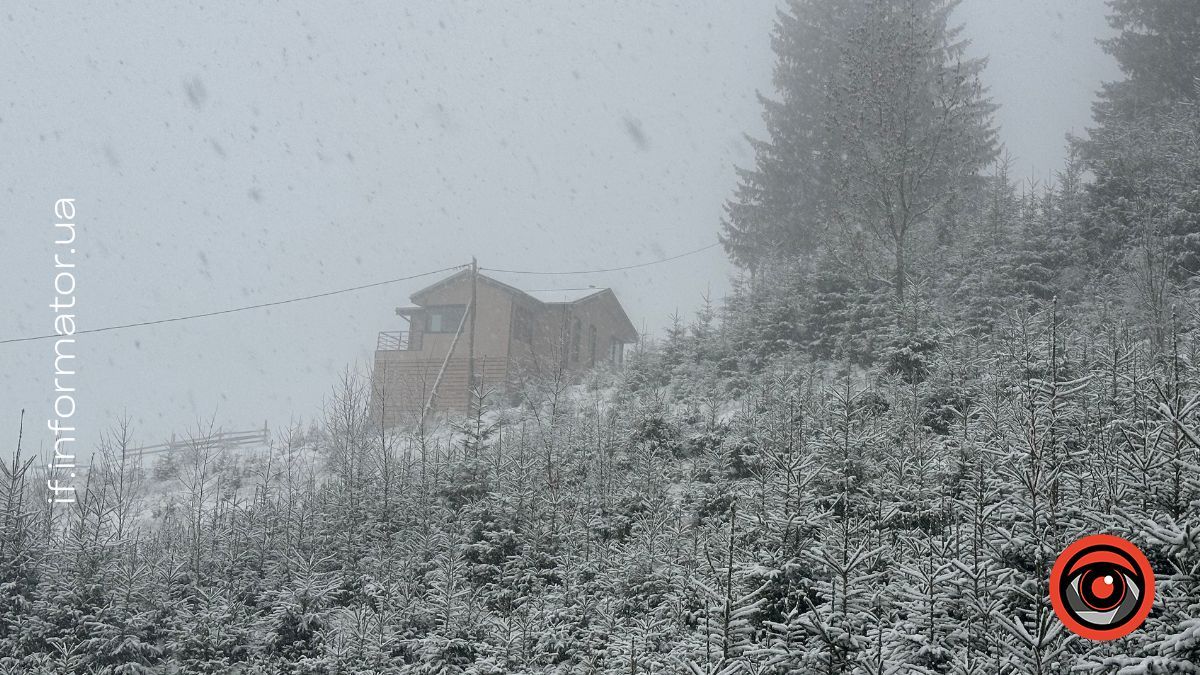 На Гуцульщині вже зима. Фоторепортаж засніженої Верховини 5