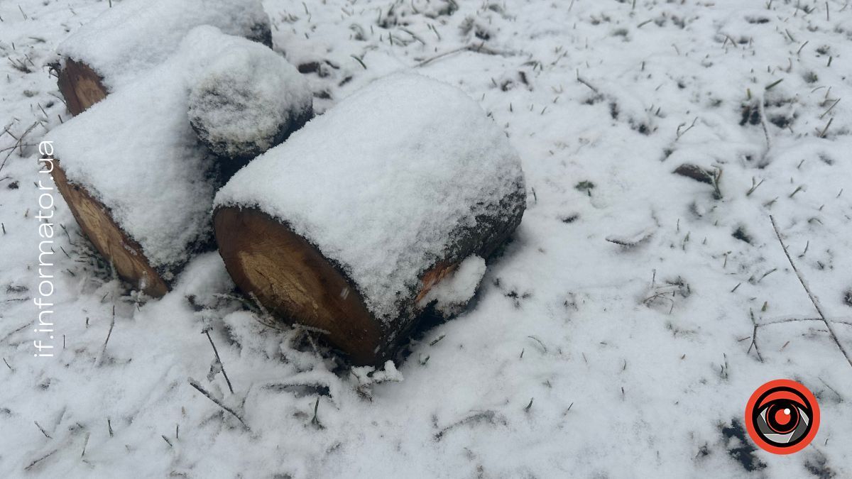 На Гуцульщині вже зима. Фоторепортаж засніженої Верховини 3