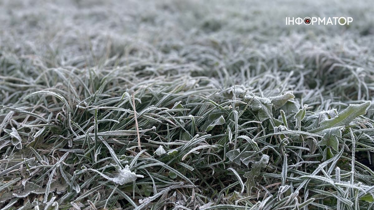 Погода в Коломиї 20 листопада