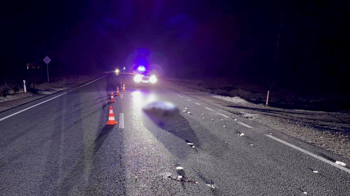 На Надвірнянщині водій на смерть збив чоловіка і втік