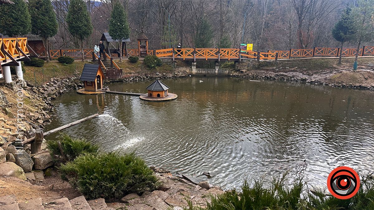 Похмурі гори та бурхливі водоспади: фоторепортаж майже зимового Яремче 12