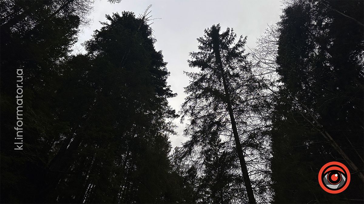 Похмурі гори та бурхливі водоспади: фоторепортаж майже зимового Яремче 4