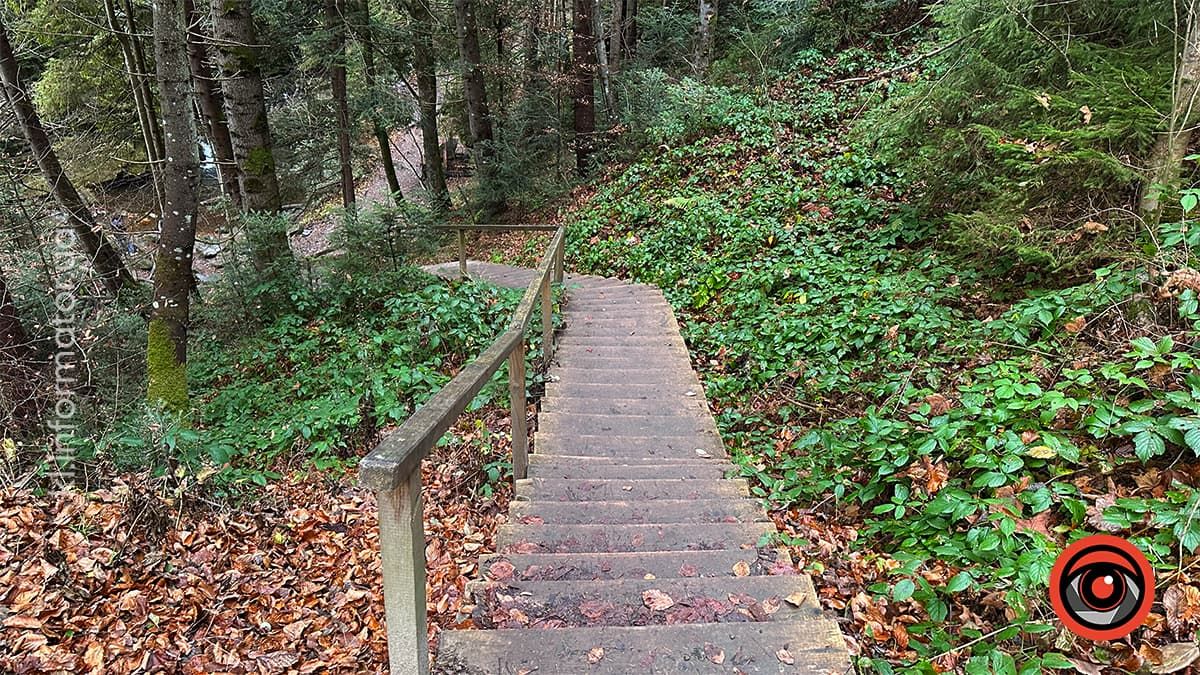 Похмурі гори та бурхливі водоспади: фоторепортаж майже зимового Яремче 3