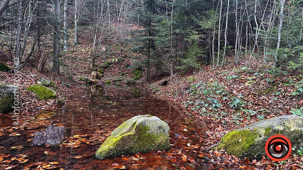 Похмурі гори та бурхливі водоспади: фоторепортаж майже зимового Яремче 2