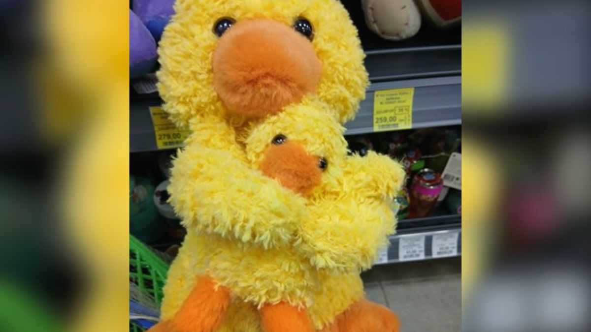 Популярна іграшка "Качка з каченям", знайдена в магазині на Прикарпатті, виявилась небезпечною