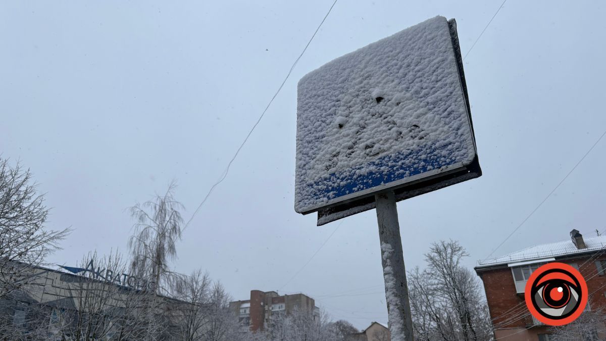 Перший сніг у Калуші: як засніжило Прикарпаття наприкінці осені 1