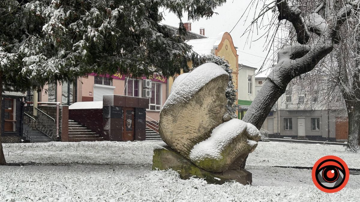 Перший сніг у Калуші: як засніжило Прикарпаття наприкінці осені 4