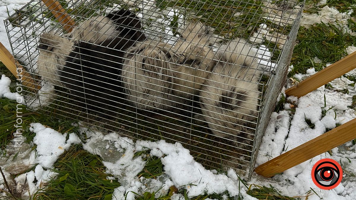 фоторепортаж