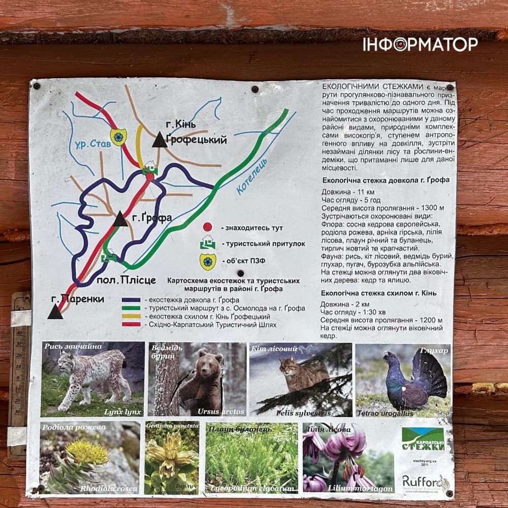 Інформаційниа табличка про диких тварин неподалік Осмолоди Інформаційниа табличка про диких тварин неподалік Осмолоди