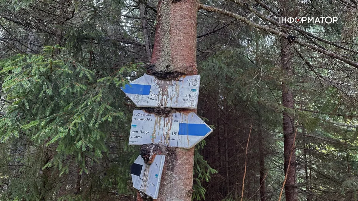 гірські рятувальники