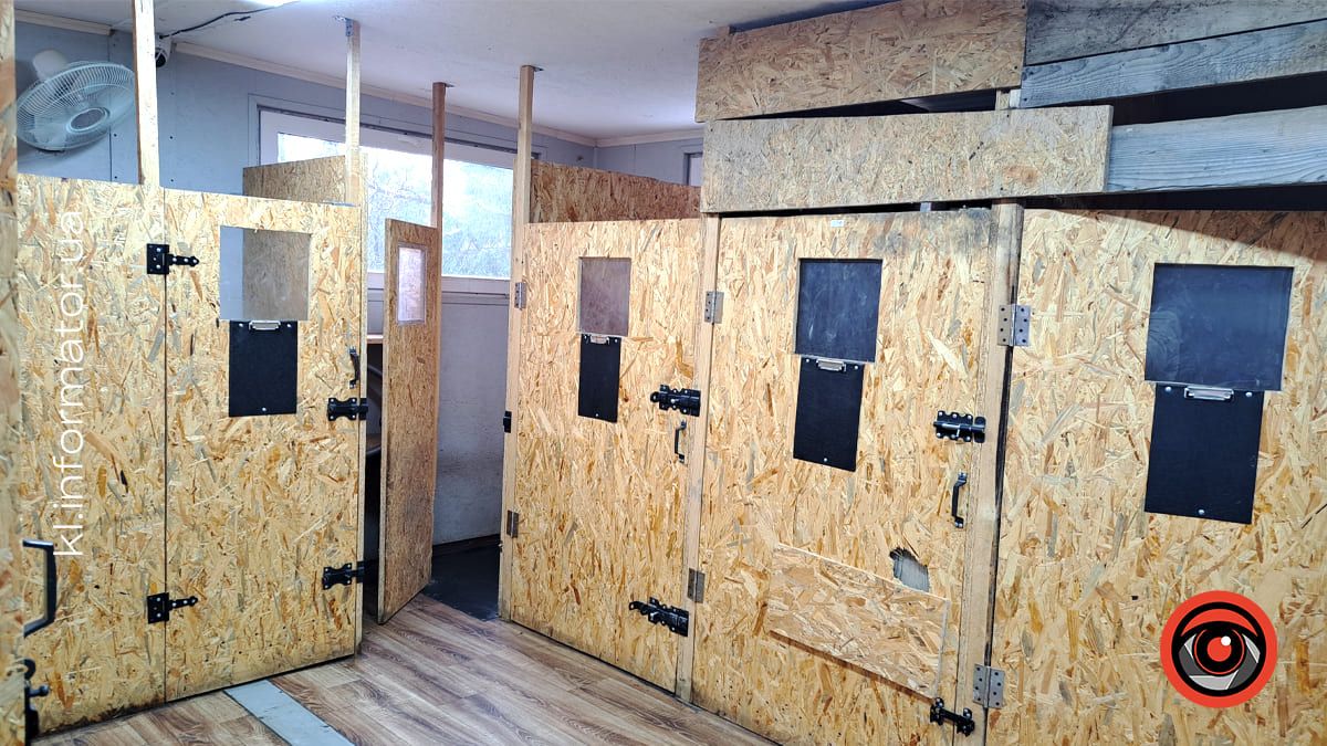 Добро перемагає травми: як Zachyn став місцем натхнення для людей і порятунку для собак 11