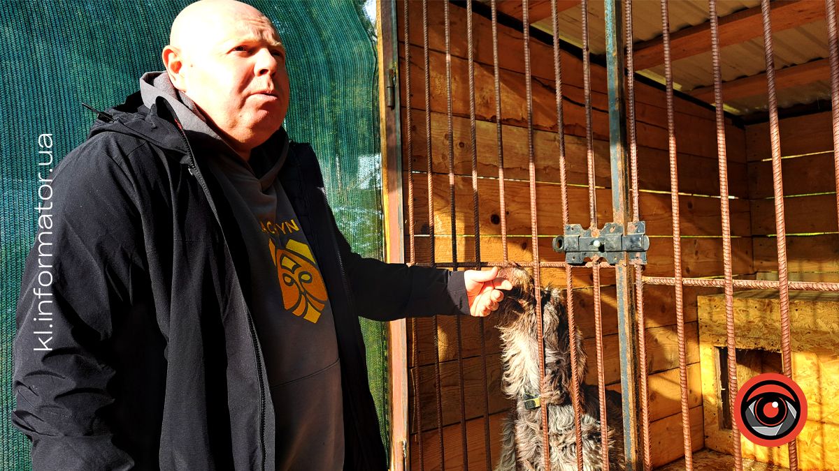 Добро перемагає травми: як Zachyn став місцем натхнення для людей і порятунку для собак 2