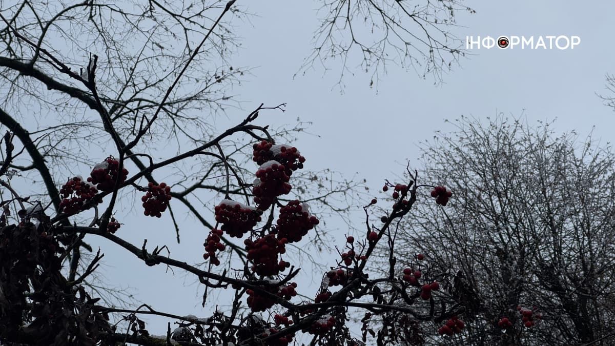 Погода в Коломиї