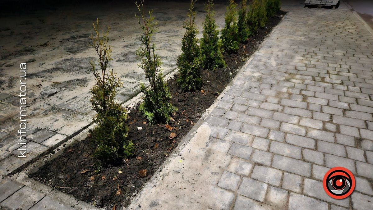 Зміни у Коломиюському ліцею №8: брукування, каперемонти, зрізка та висадка дерев 1