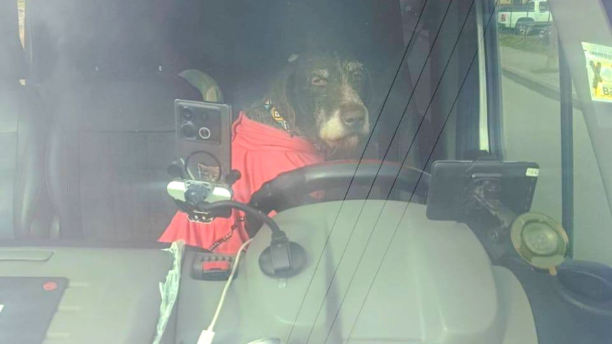 Роб на шляху до Німеччини Роб на шляху до Німеччини