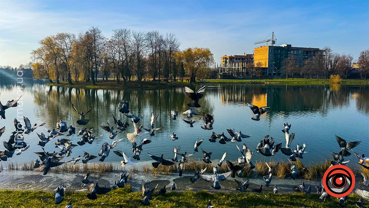 Туманні ранки та перший сніг: якою Коломия була в листопаді? 3