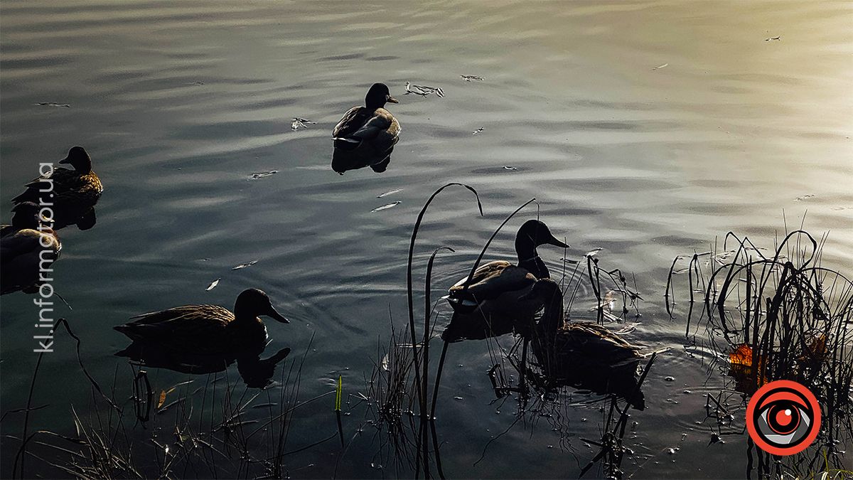 Туманні ранки та перший сніг: якою Коломия була в листопаді? 4