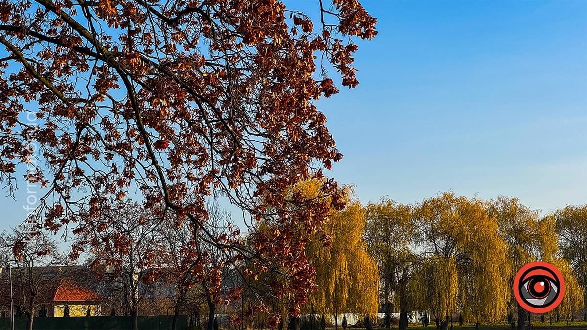 Туманні ранки та перший сніг: якою Коломия була в листопаді? 11