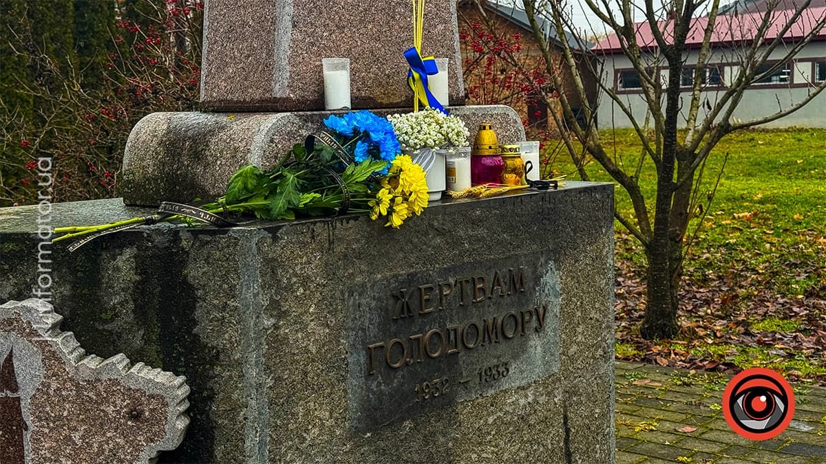 Туманні ранки та перший сніг: якою Коломия була в листопаді? 12