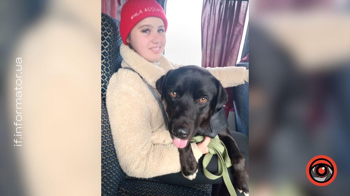 Врятований із прифронтової зони: зворушлива історія собаки Малиша 3