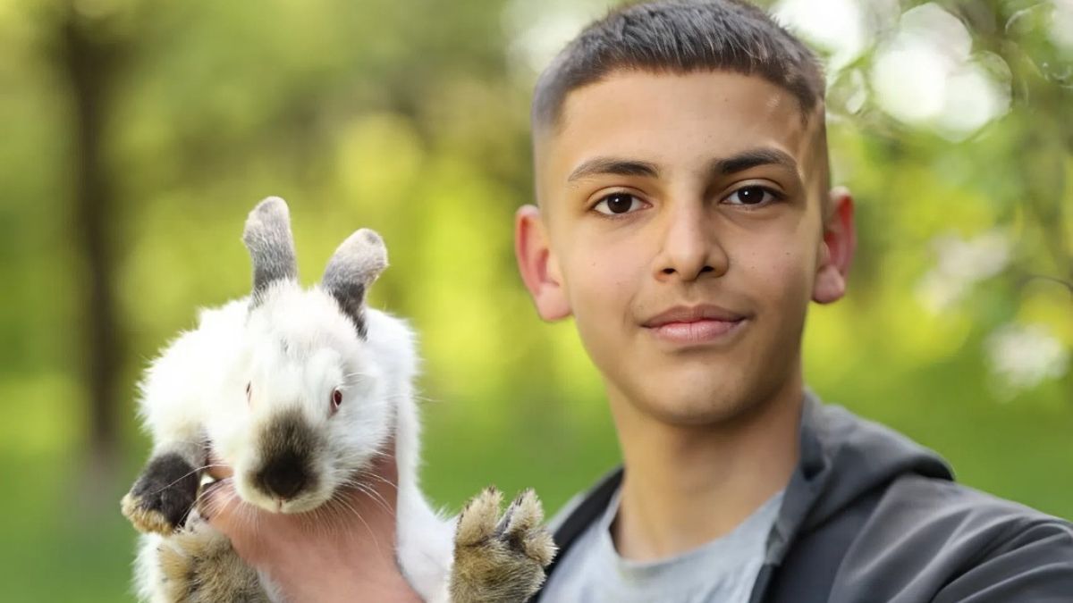 новини прикрапаття